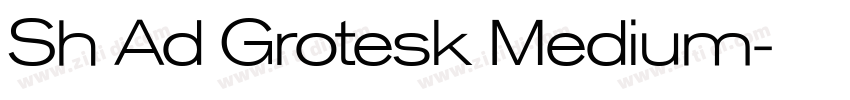 Sh Ad Grotesk Medium字体转换